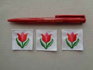 Ovis jel, tulipán (4870)